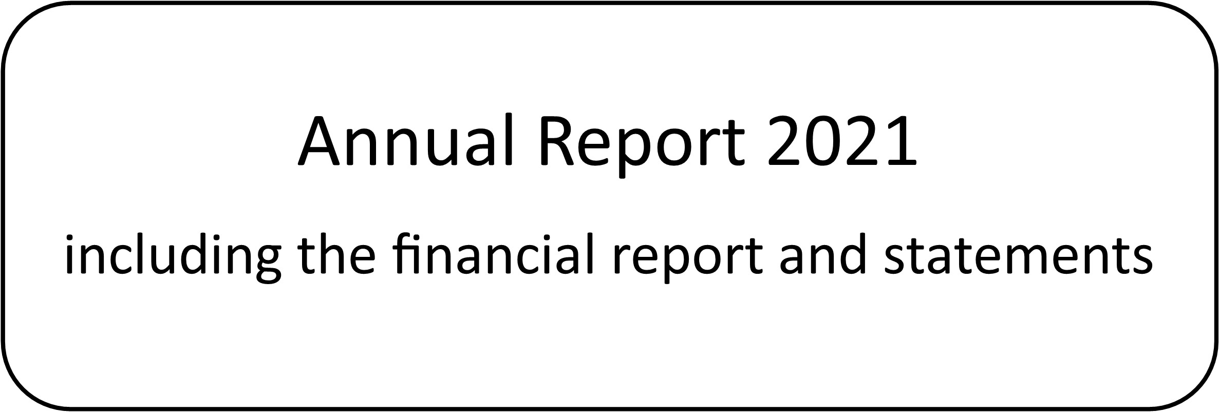 21 Annual report